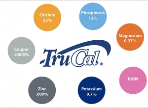 Cách bổ sung canxi phòng ngừa loãng xương cho phụ nữ mãn kinh